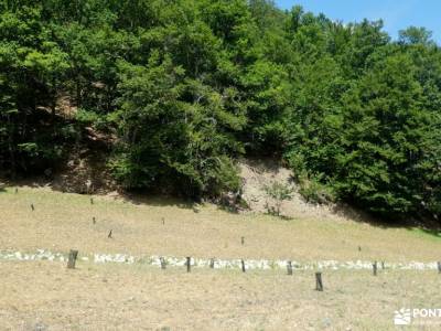 Bosques y Leyendas del Alto Carrión; fin de semana senderismo iniciación turismo rural atención excl